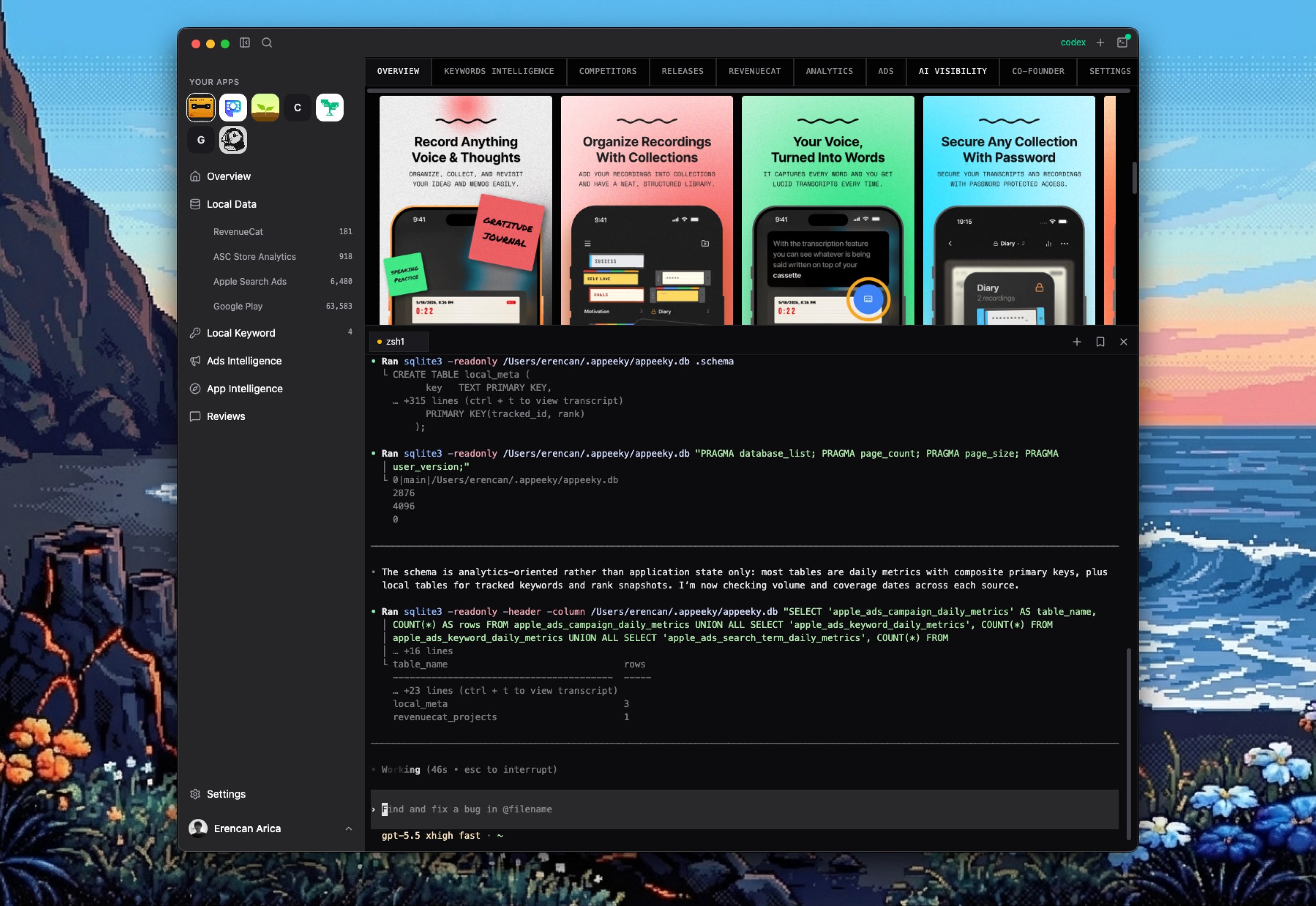 Built-in multi-tab terminal inside Appeeky Desktop