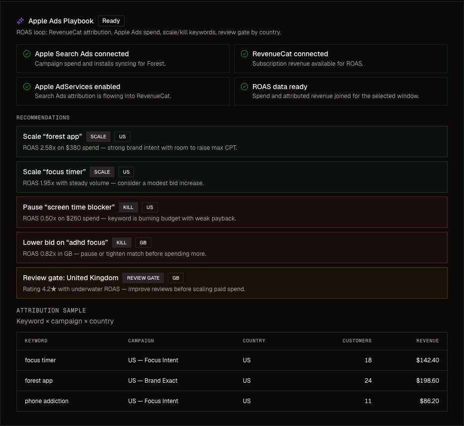 Apple Ads Playbook — setup checklist and scale/kill recommendations